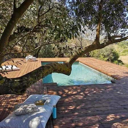 Biovilla Sustentabilidade بالميلا المظهر الخارجي الصورة