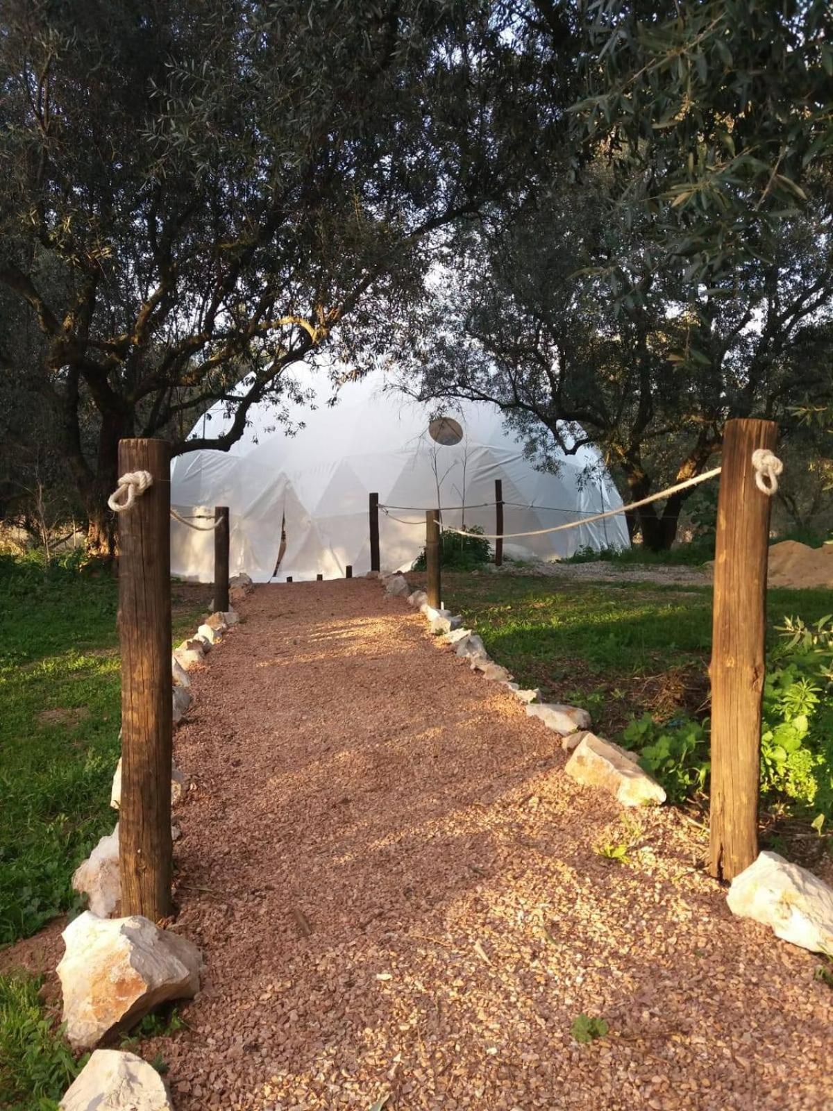 Biovilla Sustentabilidade بالميلا المظهر الخارجي الصورة
