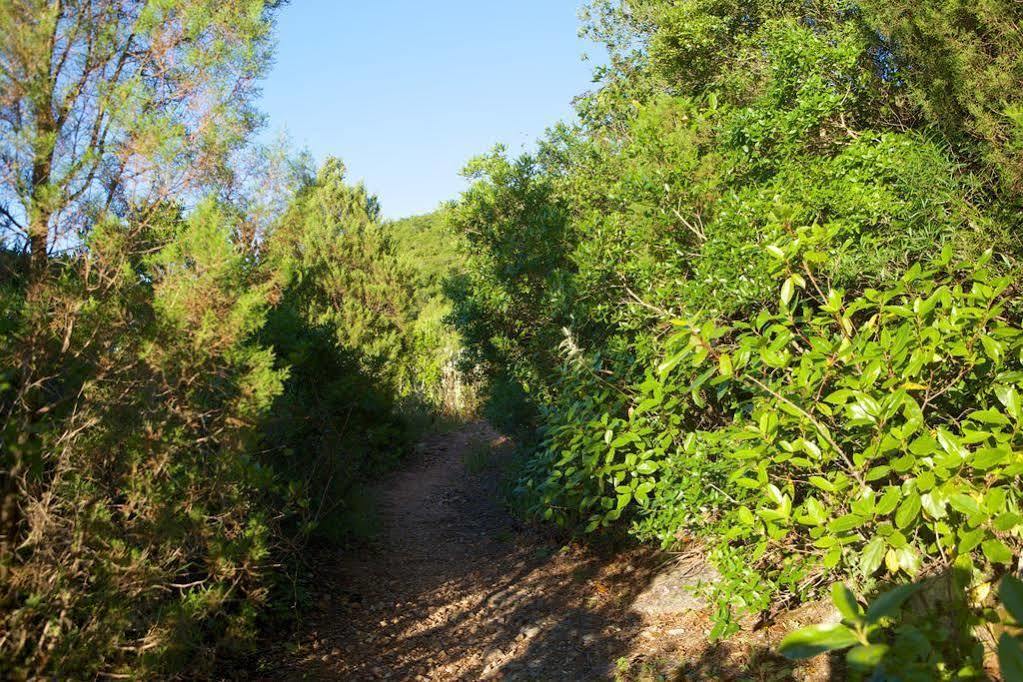 Biovilla Sustentabilidade بالميلا المظهر الخارجي الصورة